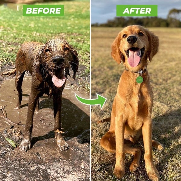 🐶Limited-Time 50% Off⏰The Original Pup Jet - 8 IN 1 SPRAY PATTERNS