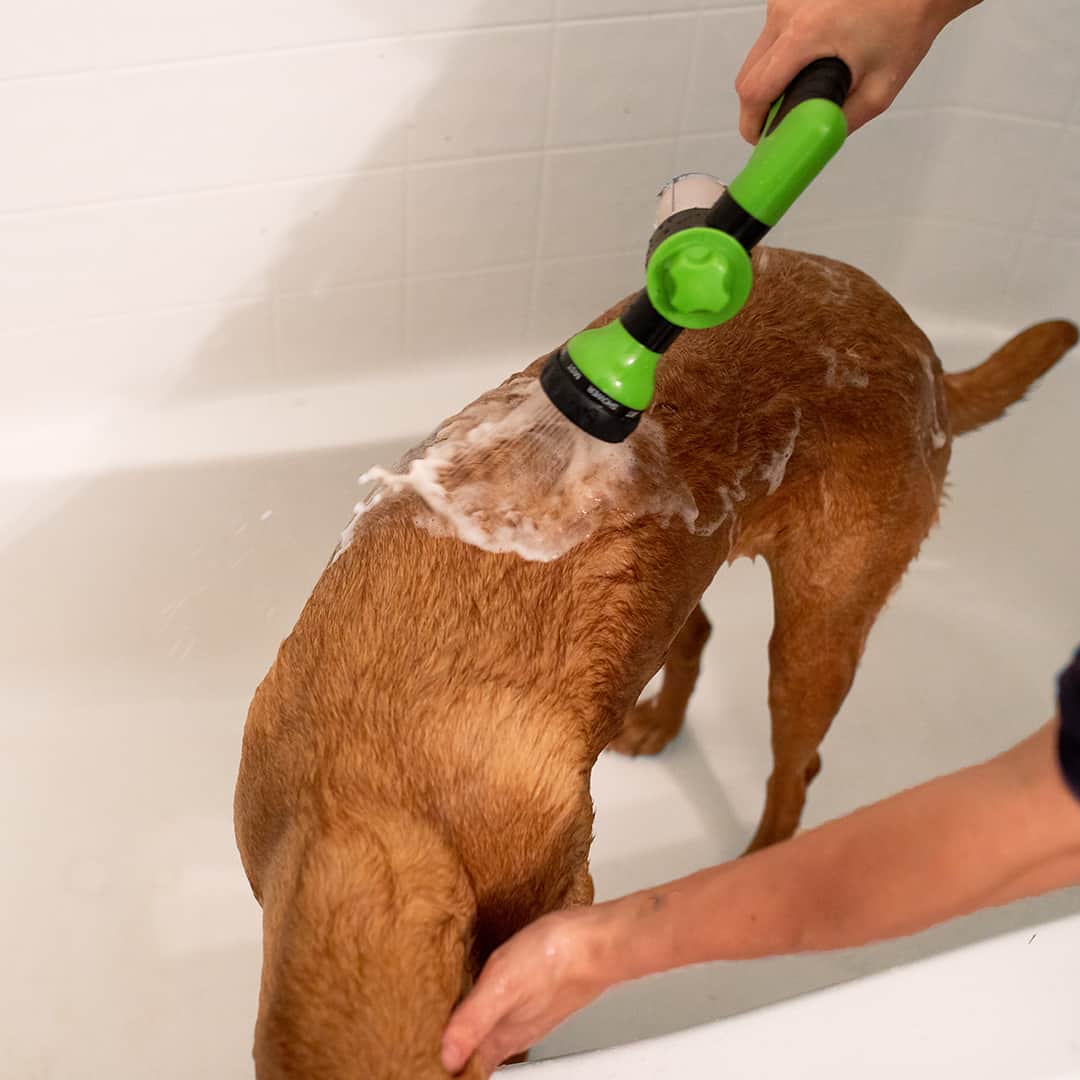 🐶Limited-Time 50% Off⏰The Original Pup Jet - 8 IN 1 SPRAY PATTERNS