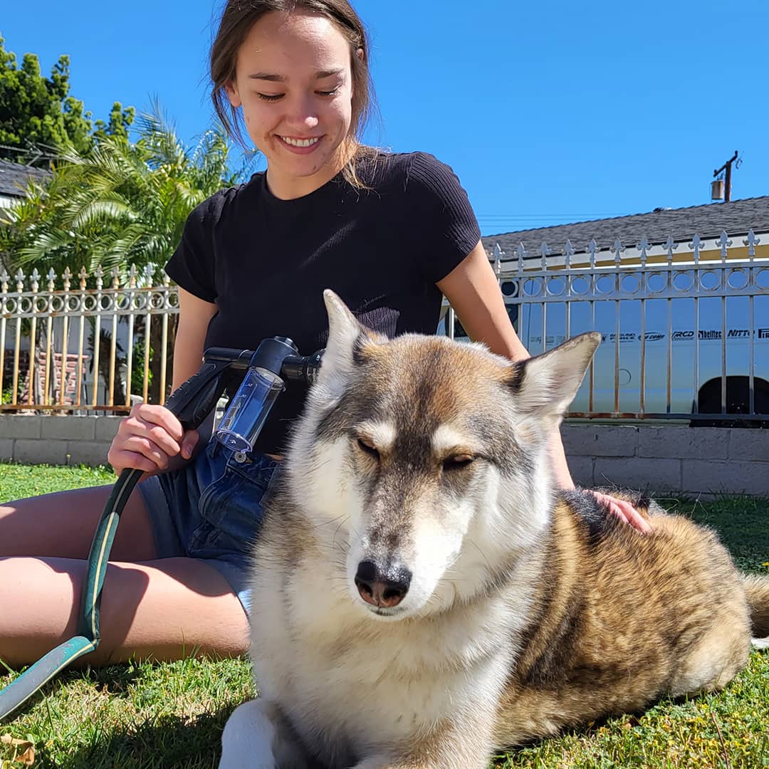 🐶Limited-Time 50% Off⏰The Original Pup Jet - 8 IN 1 SPRAY PATTERNS