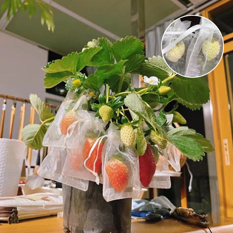 🍃Limited Sale 60% OFF🍃Protective Mesh Cover for Fruit Trees