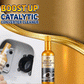 🔥Kaufen Sie 1 und erhalten Sie 1 gratis🎉Sofortiger praktischer Auto-Abgasreiniger—— 50% reduziert! Nur solange der Vorrat reicht!⏳