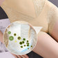 🎁Kaufen Sie 1 und erhalten Sie 1 gratis🔥Damen-Höschen mit hoher Taille und Bauchkontrolle sowie Po-Lifter