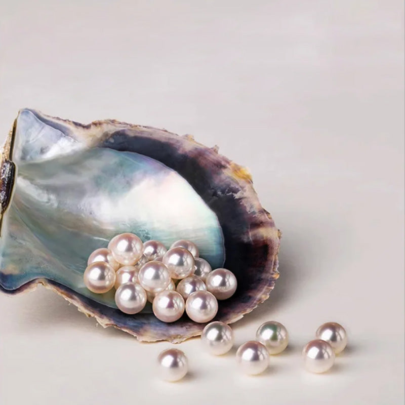 🎅Christmas hot sale 🔥✨Ladies' high-end exquisite handmade pearl brooch