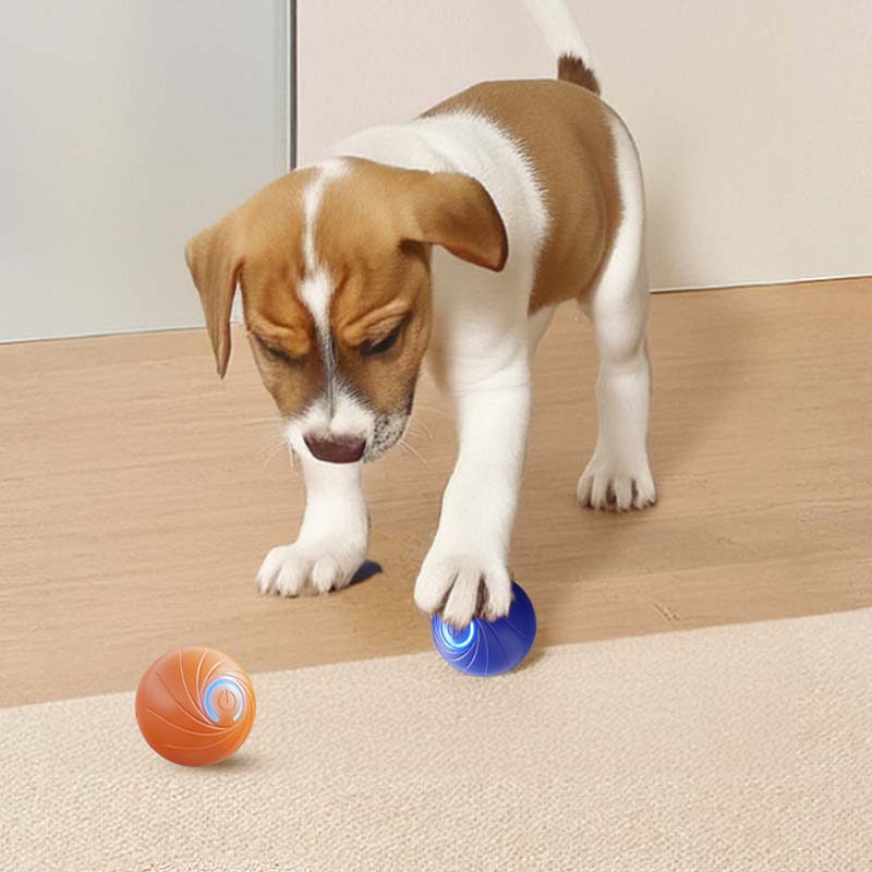 🎁New Year's Sale 49% OFF🔥Rechargeable Pet Interactive Motion Ball with Lights