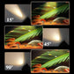 Zoombarer LED-Spotlight für Aquarien