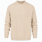 📢🎉50%Rabatt!!!🛍️✨Einfarbiger Herren-Strickpullover mit Stehkragen